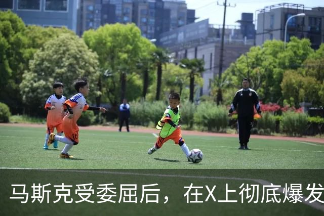 马斯克受委屈后，在X上彻底爆发，大骂战争贩子：愿你们下地狱！